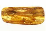 Detailed Fossil Jumping Spider, Flies, and Wasp in Baltic Amber #288175-1